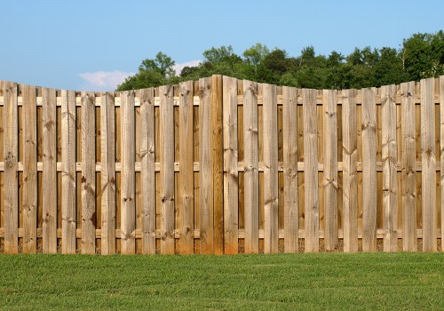 The Best Budget-Friendly Fencing Options for Homeowners